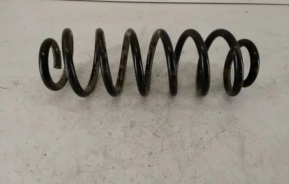 Rear coil spring