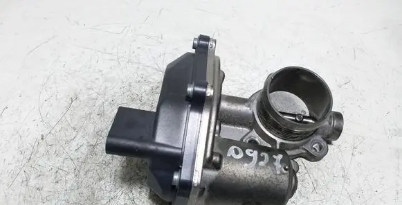 Volkswagen Tiguan Throttle valve A2C53420794