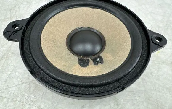 Panel speaker
