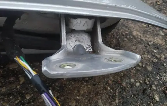 Rear door lower hinge