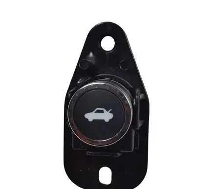 Dodge Charger Tailgate opening switch L0202772 L0202772AC 48876A