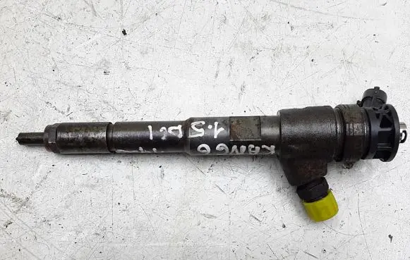 Renault Kangoo II Fuel injector 0445110485