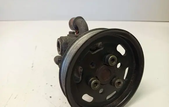 Volkswagen Sharan Power steering pump 038145255B