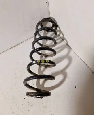 Rear coil spring