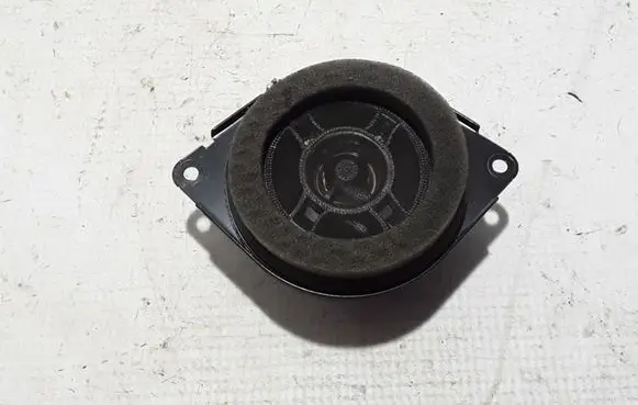 Front door high frequency speaker