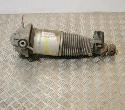 Porsche Cayenne (9PA) Rear shock absorber/damper