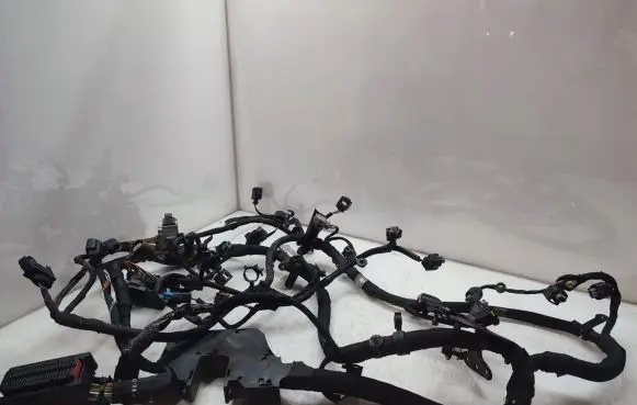 Land Rover Range Rover Sport L320 Engine installation wiring loom