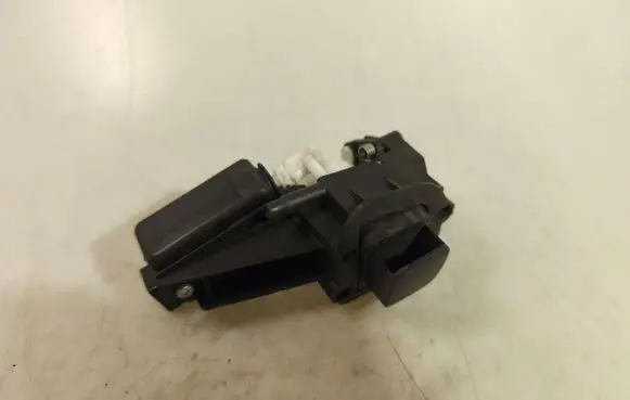 Renault Trafic III (X82) Tailgate trunk handle 842255