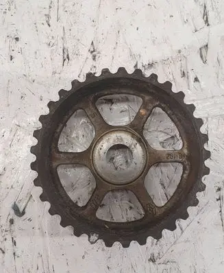 Renault Scenic II - Grand scenic II Fuel pump gear (pulley) 261844