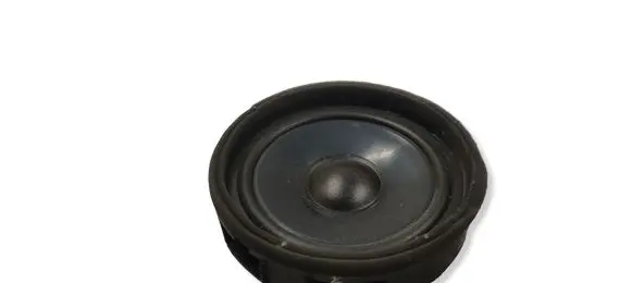 Mitsubishi Lancer X Front door speaker 