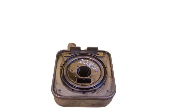 Hyundai Santa Fe Engine oil radiator D4EB