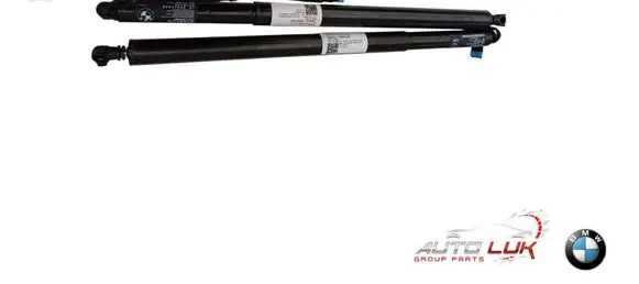 BMW X4 G02 Front bonnet/hood damper/strut 94827899482790