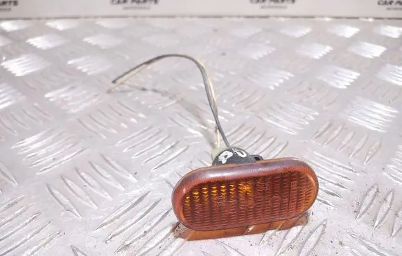 Renault Scenic I Front fender indicator light