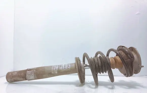 Front shock absorber with coil spring