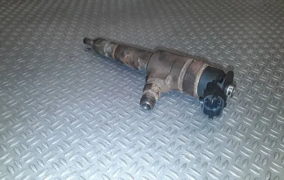 Citroen Nemo Fuel injector 0445110252