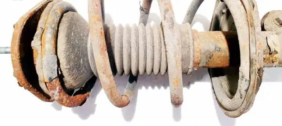 Toyota Corolla Verso AR10 Front coil spring