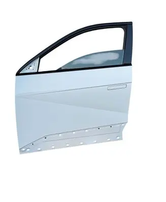 Hyundai Ioniq 5 Front door 