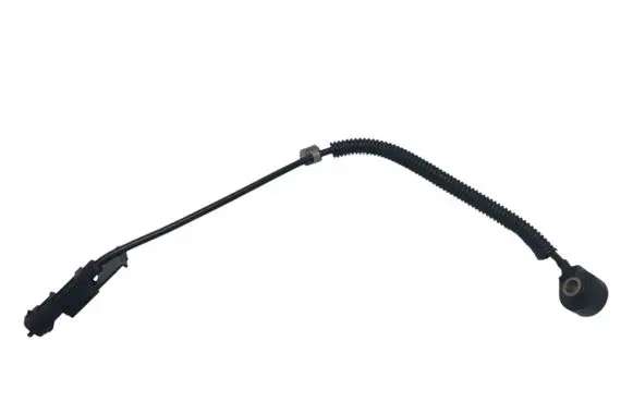 Hyundai i20 (PB PBT) Detonation knock sensor 39252003000