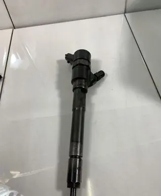 Hyundai Santa Fe Fuel injector 0445110254