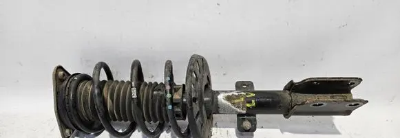 Citroen DS7 Crossback Front shock absorber with coil spring 9829087780