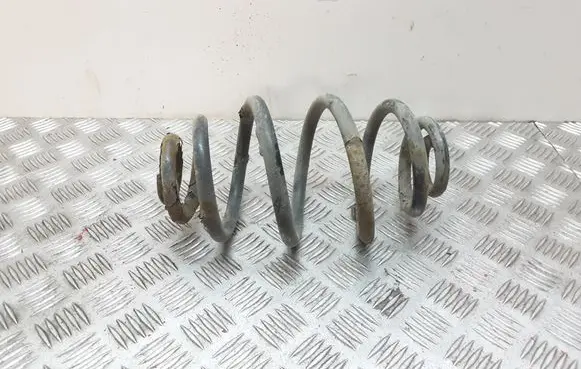 Volkswagen PASSAT B5.5 Rear coil spring