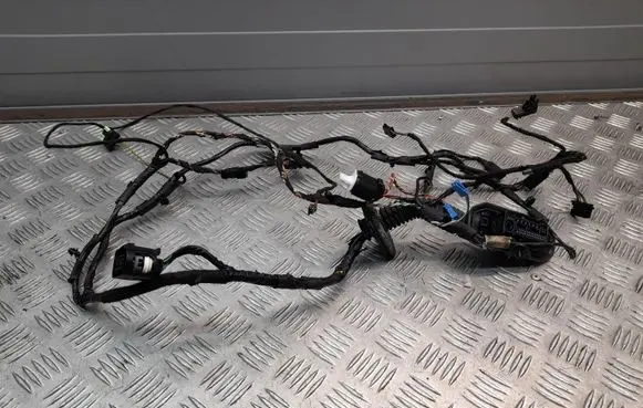 BMW X6 E71 Front door wiring loom 9203114