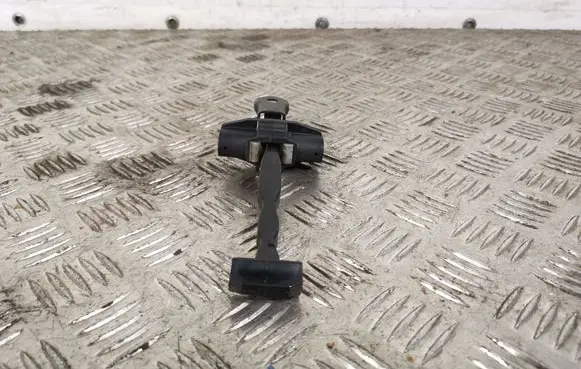 Opel Crossland X Rear door check strap stopper 6270ES72