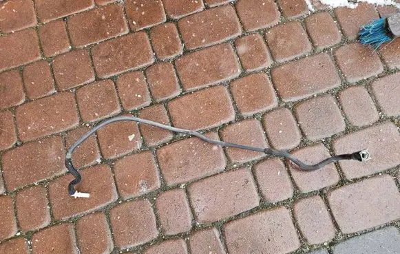 Opel Combo E Fuel line/pipe/hose 7433366