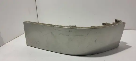 Rear/tail light trim molding