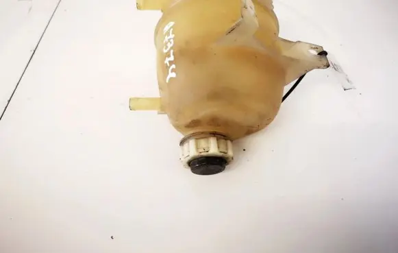 Renault Scenic I Coolant expansion tank/reservoir 7700839184