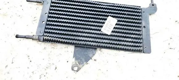 Citroen DS3 Fuel cooler (radiator) 964769408A