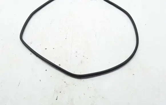 Renault Alaskan Rear door rubber seal (on body) 828314JG0A