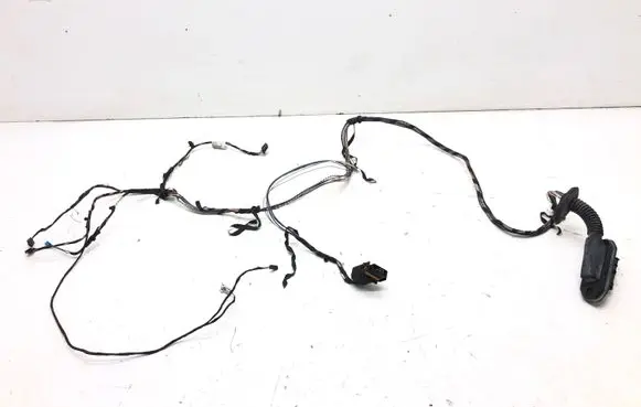 BMW X3 F25 Rear door wiring loom 9243667
