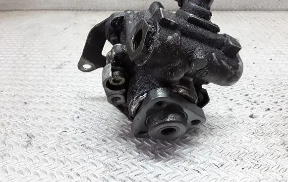 BMW 5 E39 Power steering pump 7691974507