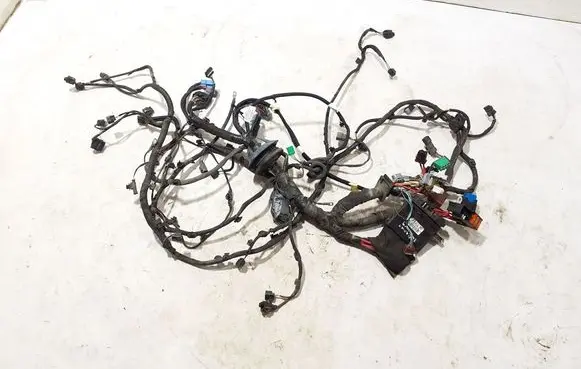 Renault Talisman Other wiring loom 403889406R