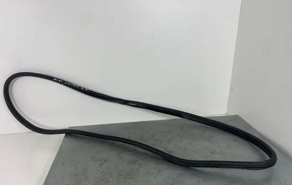 Mini Cooper Countryman R60 Rear door rubber seal (on body) 9808549