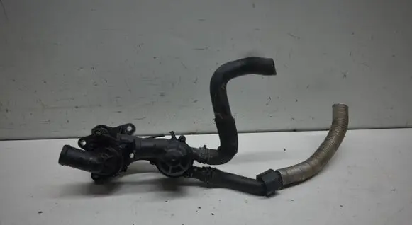 Volkswagen Tiguan Thermostat/thermostat housing 