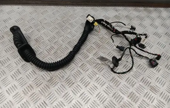 Porsche Cayenne (92A) Front door wiring loom 7P5971161B