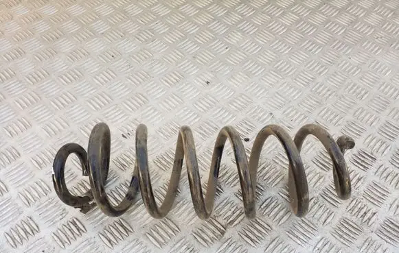 Rear coil spring