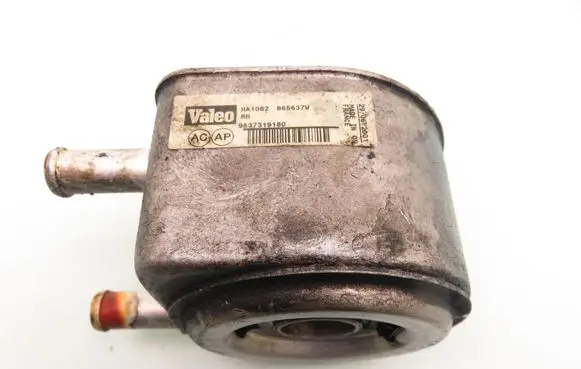 Peugeot 307 Engine oil radiator 9637319180
