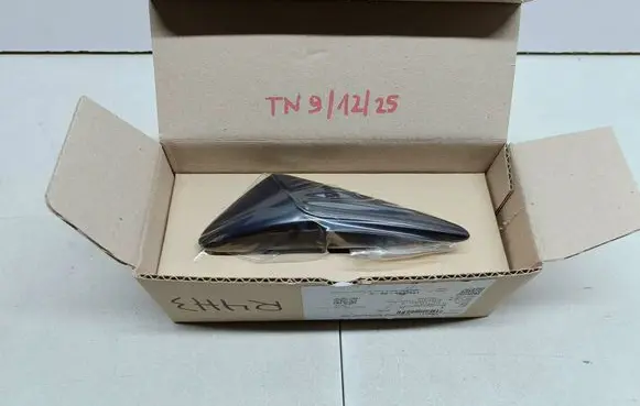 Tesla Model 3 Front fender indicator light 1495865-20-G TN9-12-25 149586520G