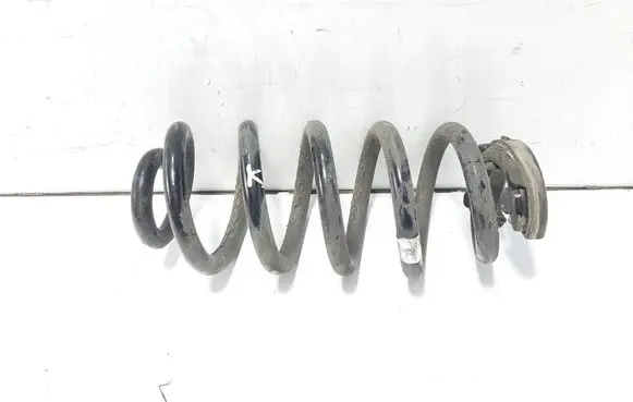 Volkswagen ID.3 Rear coil spring 