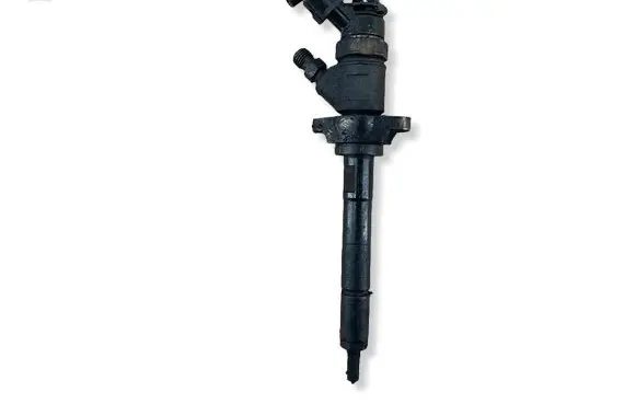 Citroen C3 Picasso Fuel injector 0445110311