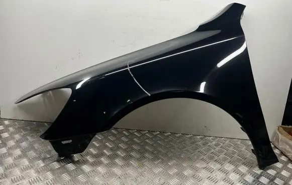 Skoda Octavia Mk2 (1Z) Fender 