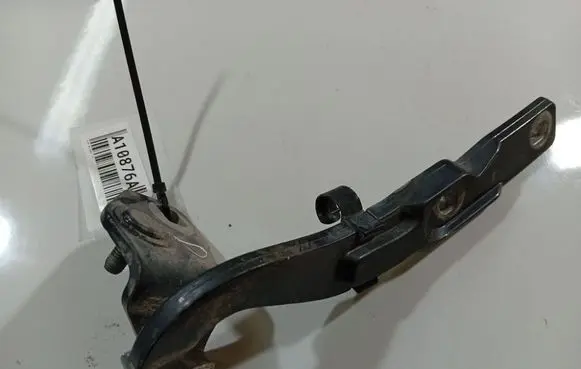 Tailgate/trunk/boot hinge