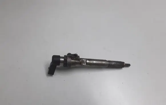 Nissan Qashqai Fuel injector H8200294788
