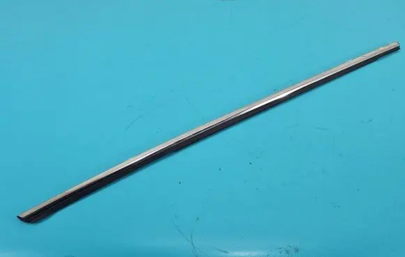Rear door trim (molding)
