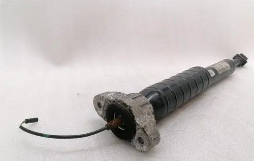 Maserati GranTurismo Rear shock absorber with coil spring 670105403