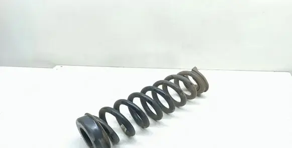 Rear coil spring