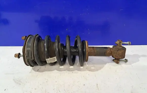 Chevrolet Tahoe Front shock absorber/damper 15801396